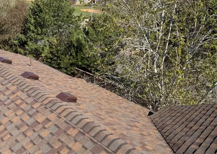 Newly installed asphalt shingle roof in Fort Collins, ready for insurance claim assessment